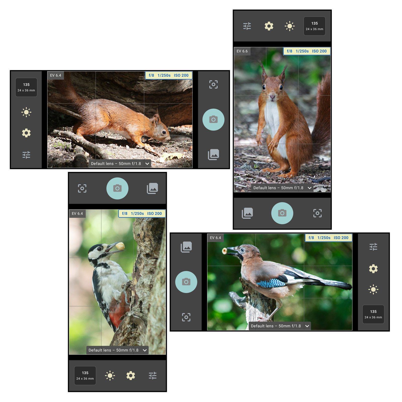 FinderView showing orientation support for horizontal and vertical phone use.